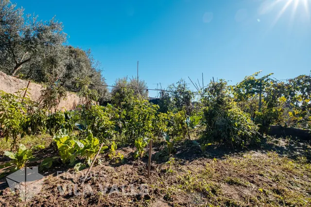 Granja amb posibilitat dues vivendes — 35