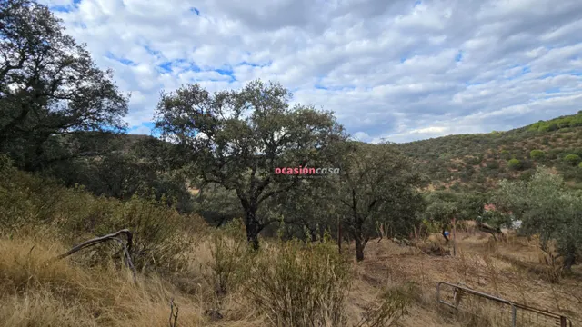 FINCA RUSTICA CON VIVIENDA — 9