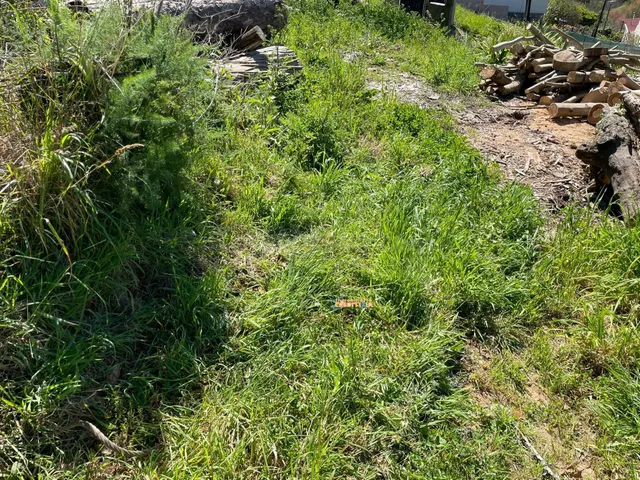 TERRENO EDIFICABLE - foto 3