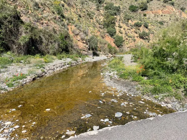Se vende parcela rústica en los Montes de Málaga, junto a la - foto 2