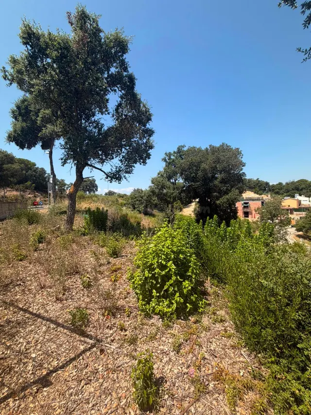 Parcela de 1.200 m2 en Lloret de Mar - foto 3