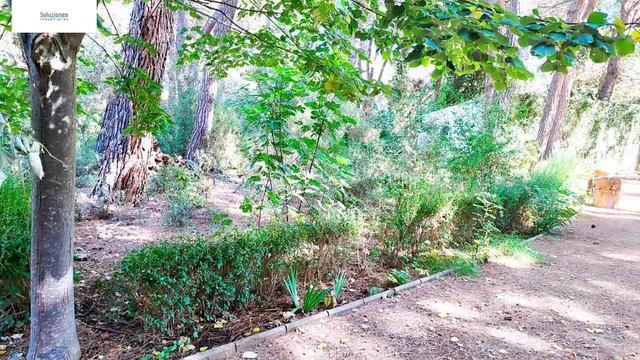 Chalet en los Pinares del Júcar — 14