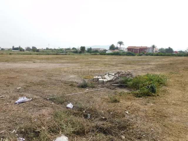 VENTA PARCELA DE HUERTA DE 8.323 M2 EN CRTA. ALICANTE - foto 3
