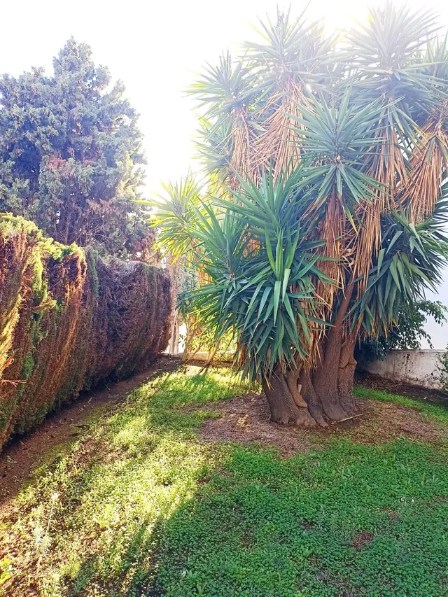 Apartamento 1 habitación 104m² en venta - Riviera del sol — 17