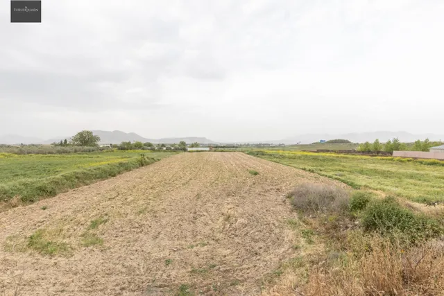 PARCELA RÚSTICA DE 3.500 M2 EN SANTA FE - foto 5