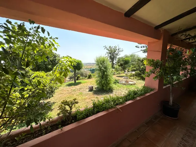 Exclusiva finca rústica con chalet independiente en la carretera Coria del Río - Palomares — 25