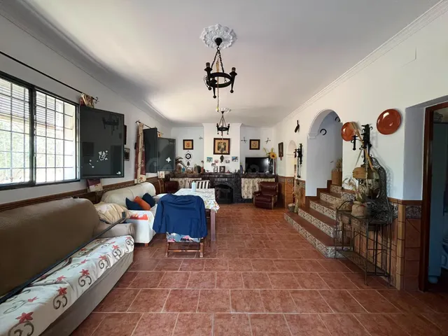 Casa de campo con olivos en producción, placas solares y amp - foto 4