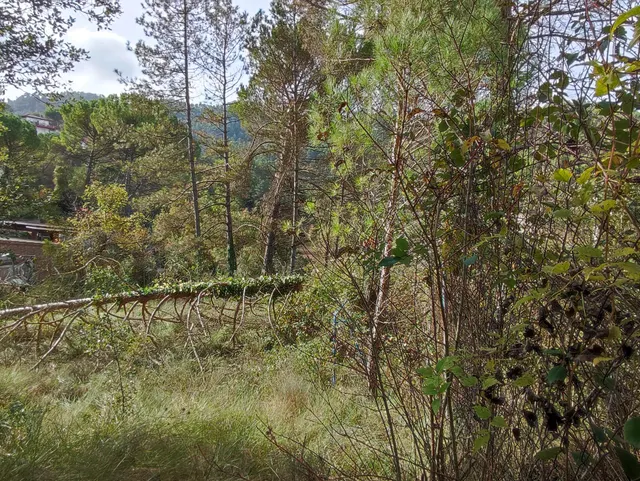 TERRENO EN VENTA EN LA URBANIZACION MASIA DEL SOLÀ (FINCA RUSTICA) MONISTROL DE CALDERS — 19