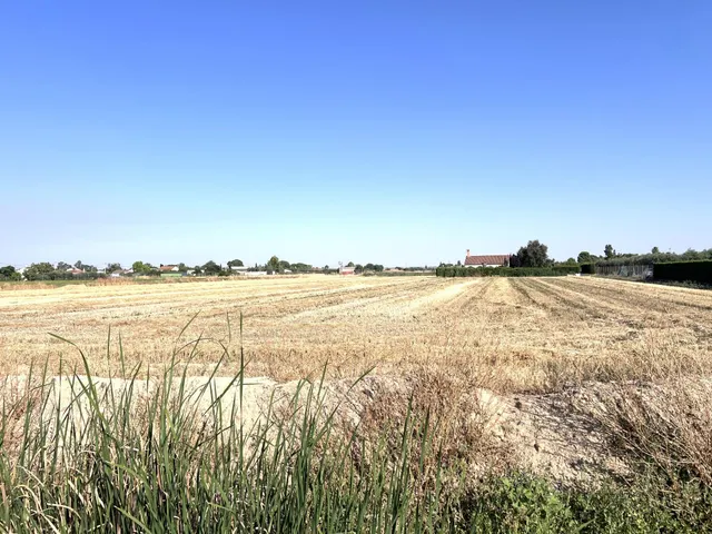 PARCELA RÚSTICA EN LA ZONA CAMINO DE LOS RANCHOS - foto 5