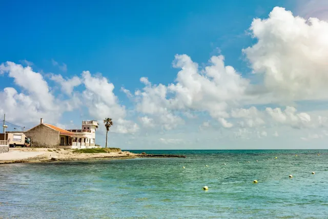 Apartamento reformado de un dormitorio en la Playa de los Locos — 26
