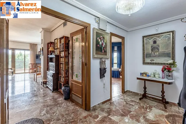 Pisazo en paseo del salón - Granada — 39