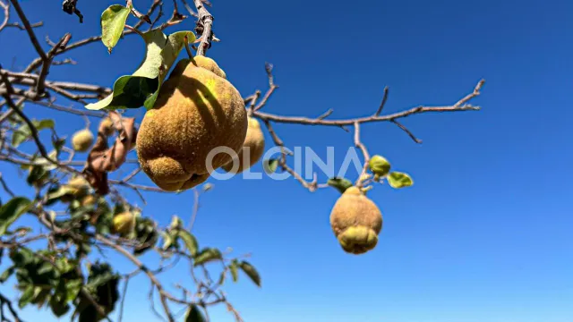 Exclusiva Casa de Campo en la Devesa, Ibi - Un Refugio de Lujo — 38