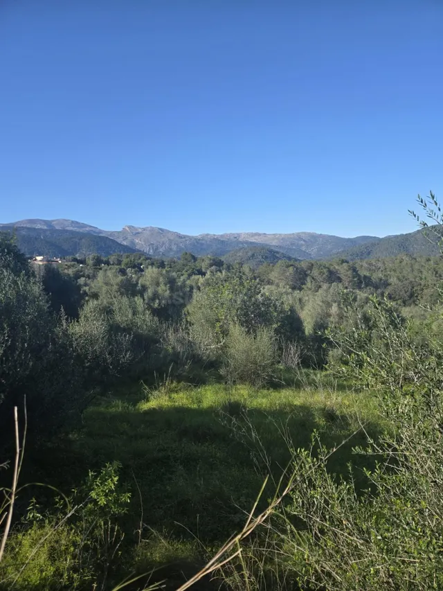 Oportunidad de Inversión en Campanet: Terreno Urbano