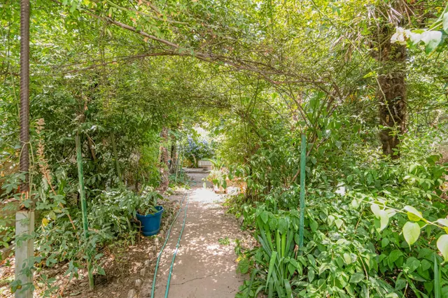 El jardín que siempre soñaste, ahora en Granada capital. — 7