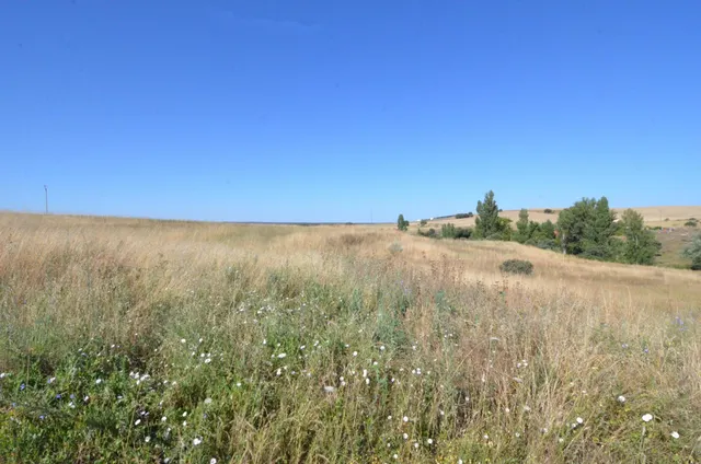 Urbis te ofrece un terreno en venta en Almenara de Tormes, S - foto 2