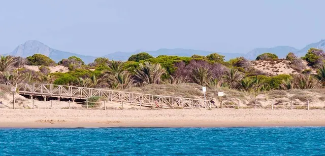 Apartamentos de nueva construcción en el centro de Guardamar del Segura, Costa Blanca — 18