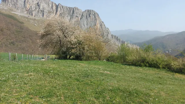 Venta de Terreno rustico urbanizable - foto 4