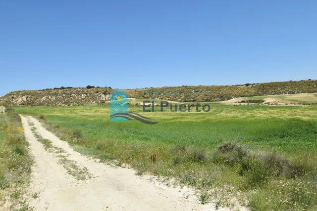 TERRENO DE 20.000 METROS EN LA MAJADA — 12