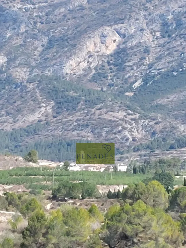 Espectacular Finca en Venta en Bèlgida — 33