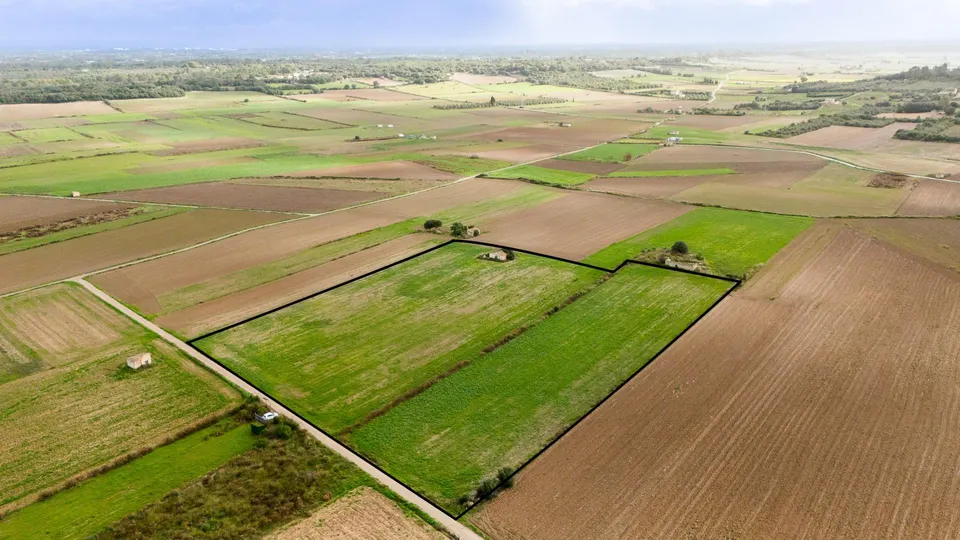 Parcela rústica con proyecto en muro