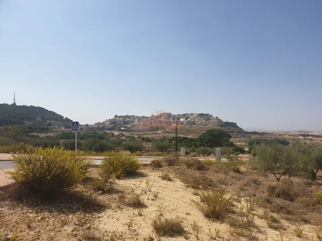 VENTA DE TERRENO URBANO EN CHINCHILLA - foto 4