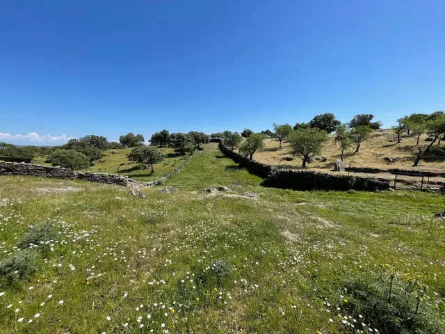 Terreno rural en venta - Extremadura — 7