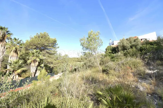 TERRENO CON BUENA ORIENTACIÓN Y VISTAS EN MAS MESTRE — 15