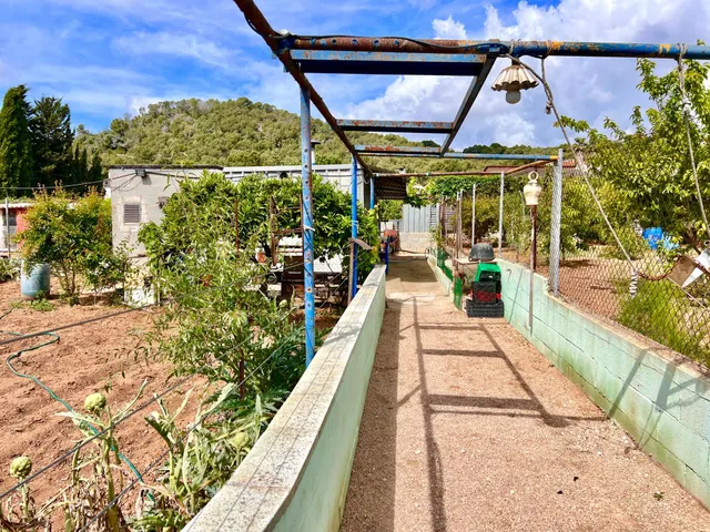 Casa o chalet independiente en venta en Calle Amadeu Vives — 32