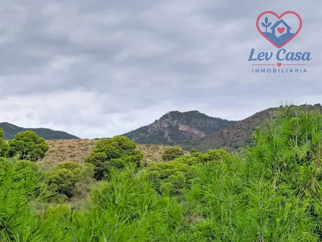 FINCA DE 10.400 M2 CON PISCINA EN SIERRA ESPUÑA — 120.000 € — 4