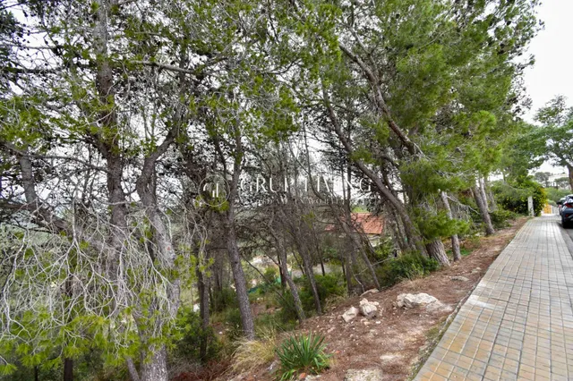TERRENO EN CAN PERE LA PLANA — 4