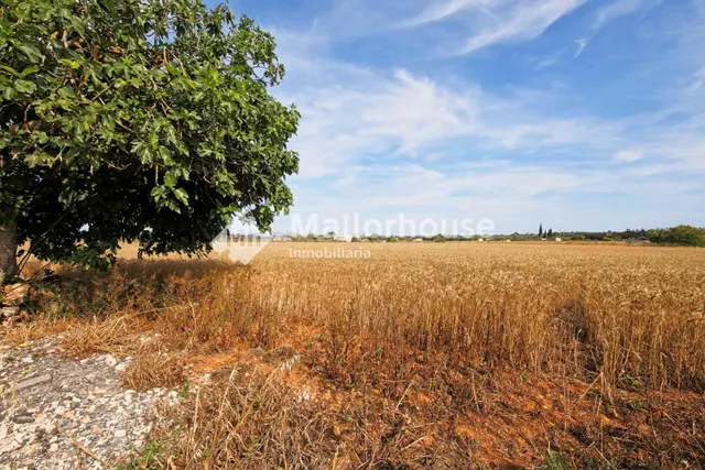 Terreno urbanizable en venta - Son serra - foto 2