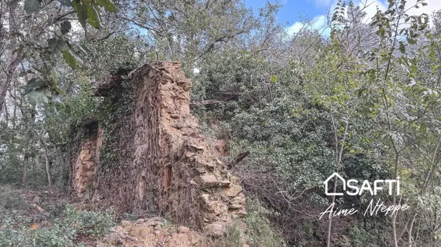 Masía Para Reconstruir - Pleno Bosque - Vistas Panorámicas.  - foto 5
