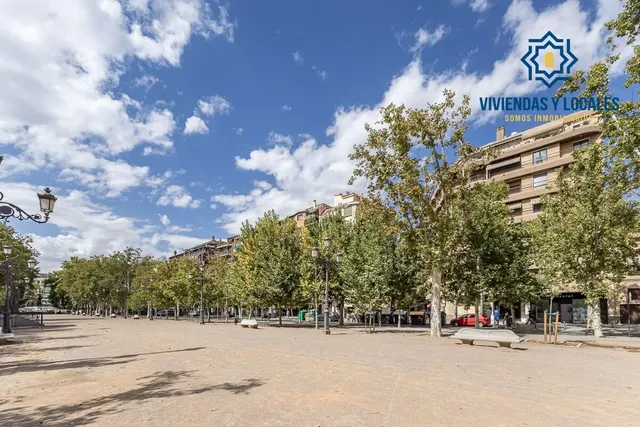 Pisazo en paseo del salón - Granada — 47