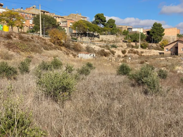Terreno Urbanizable  en Torrefeta i florejacs, a 3km de Guissona — 11