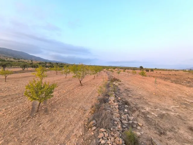 Parcela edificable 12234 m2 en Pinoso - Construir casa en en - foto 2