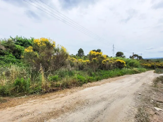 Terreno rústico de 10.735 m2 en Castellbisbal zona Can Nicolau de Dalt. — 9