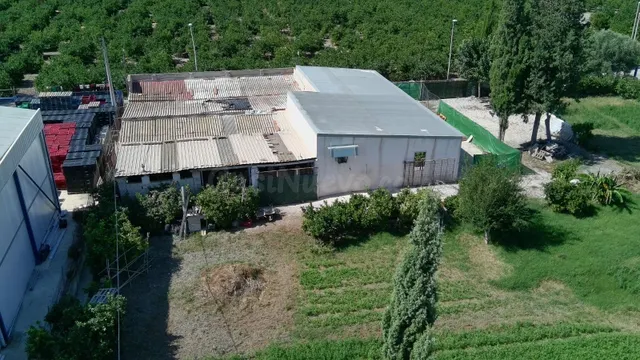 FINCA CON 3 APARTAMENTOS, NAVE Y 2.325 M2 DE PARCELA EN EL R