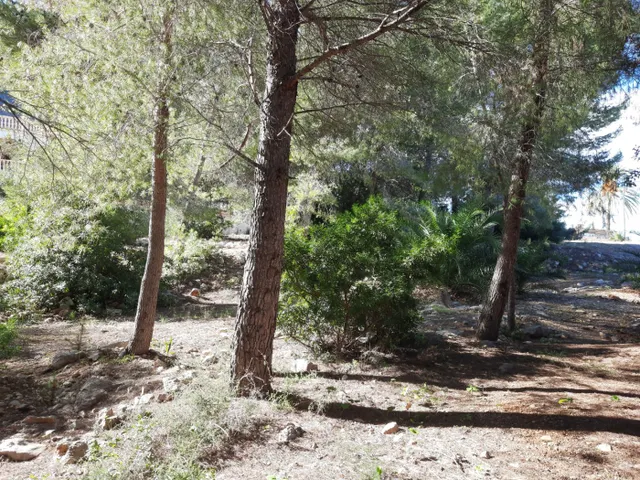 Parcela en zona Corral de calafat — 10