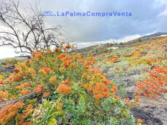 Casa de pueblo en Venta en Llanos De Aridane, Los Santa Cruz - foto 2