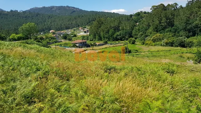 Se vende amplia parcela de 1800 metros en Rebordanes, Tui — 6