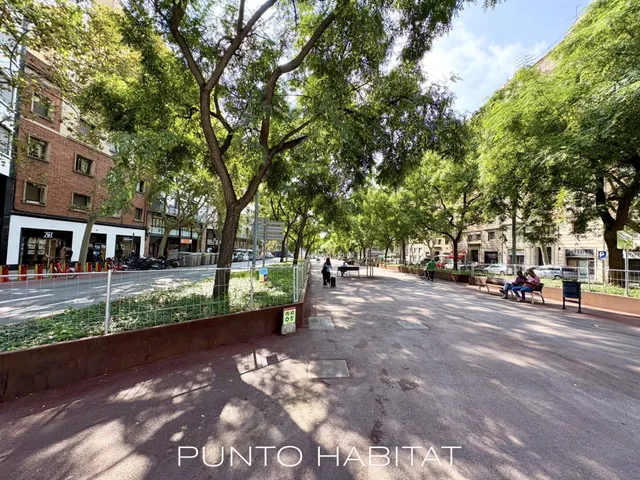 Oportunidad en Les Corts — 48