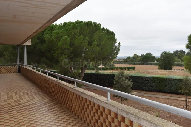 SINGULAR FINCA EN FUENTE EL SAZ DE JARAMA CON LICENCIA APROB - foto 5