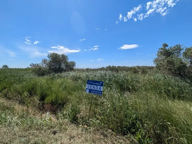 FINCA REGADÍO DE OLIVOS EN DELTA DEL EBRO - foto 2