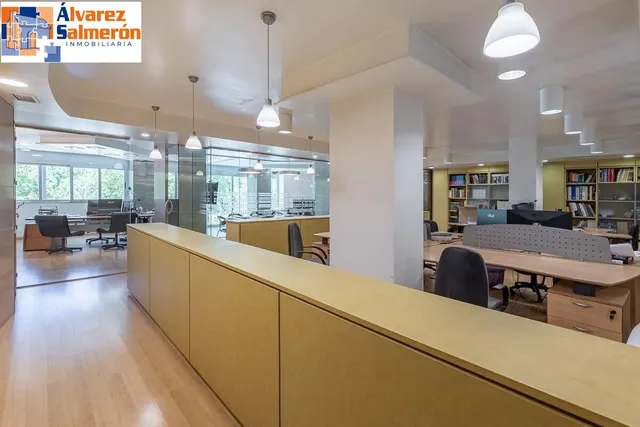 EXCLUSIVO INMUEBLE EN PLAZA DE CARRETAS, JUNTO AL EMBLEMÁTICO PASEO DEL SALÓN — 8