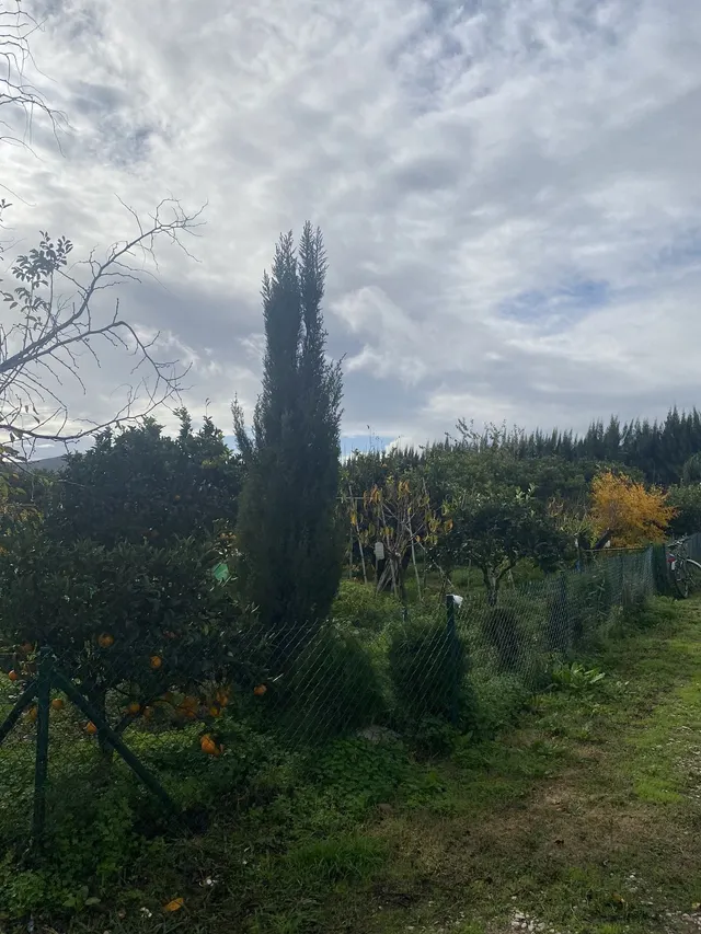 Parcela 50m² en venta - Sotogrande - Alto — 21