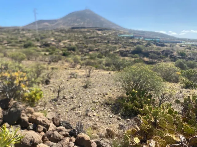 Interesante terreno de 11.223m2 anexo al circuito de Alta Ve