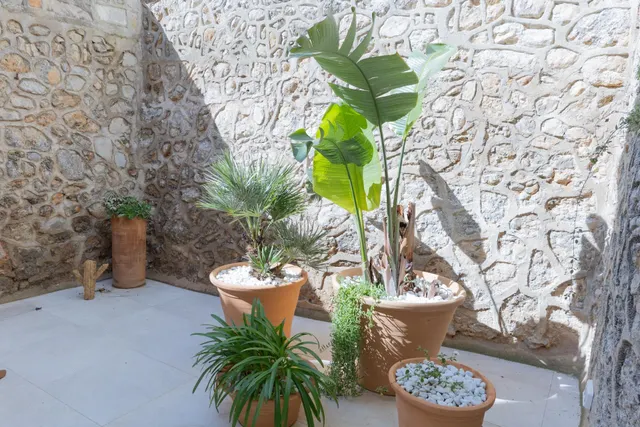 Casa con carácter y vistas a la Tramuntana en Mancor de la Vall — 6