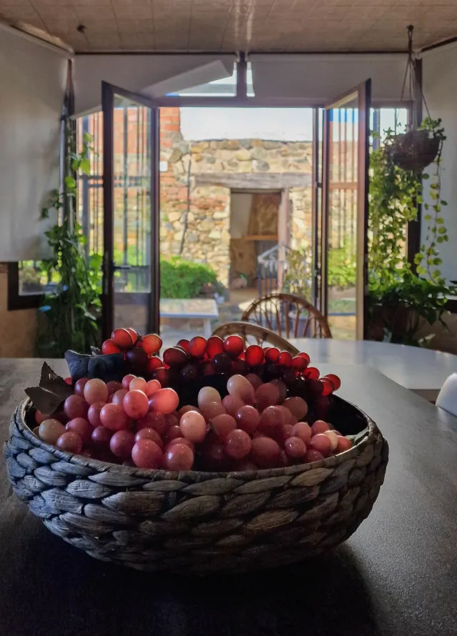 ALQUILER CHALET CON PARCELA EN HIGUERA DE VARGAS — 30
