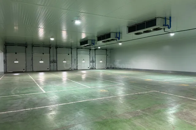Nave logística con 9 muelles, cámaras frigoríficas y oficina - foto 4