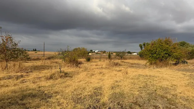 ¡Ocasión en Trigueros! Finca rústica totalmente legalizada con excelente acceso y gran tranquilidad — 41